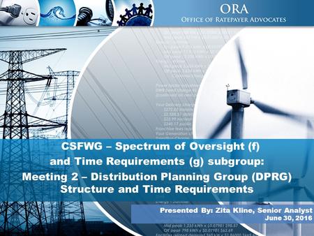 1 CSFWG – Spectrum of Oversight (f) and Time Requirements (g) subgroup: Meeting 2 – Distribution Planning Group (DPRG) Structure and Time Requirements.