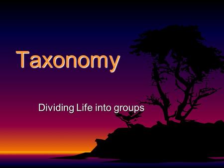 Taxonomy Dividing Life into groups. You only need to copy text that is italicized.