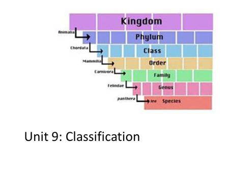 Unit 9: Classification. TARGETS  I can create a dichotomous key to classify and identify an organism.  I can use a dichotomous key to identify an organism.