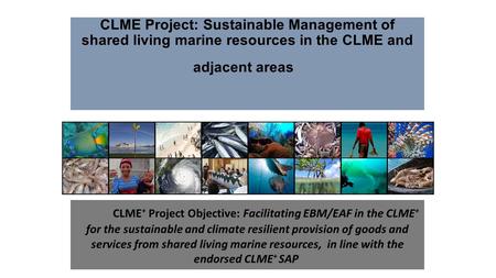 CLME Project: Sustainable Management of shared living marine resources in the CLME and adjacent areas CLME + Project Objective: Facilitating EBM/EAF in.