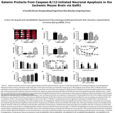 Galanin Protects from Caspase-8/12-initiated Neuronal Apoptosis in the Ischemic Mouse Brain via GalR1 Li Yun;Mei Zhu;Liu Shuiqiao;Wang Tong;Li Hui;Li Xiao-Xiao;Han.