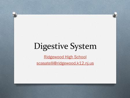 Digestive System Ridgewood High School