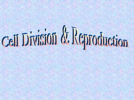 M Phase (division) Interphase G1 Phase G2 Phase S Phase Growth DNA & Chromosome Replication Cells Spend Most of the Time in Interphase.