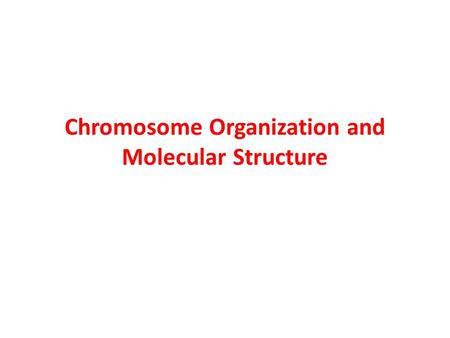 Chromosome Organization and Molecular Structure. Chromosomes are the structures that contain the genetic material –They are complexes of DNA and proteins.