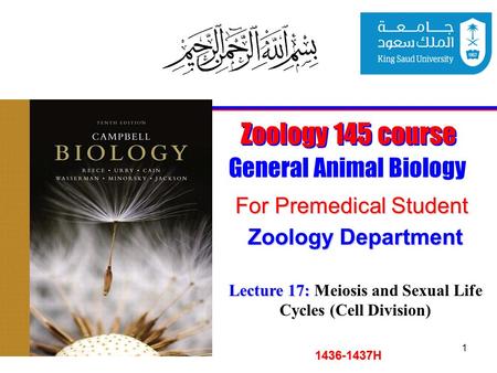 1 Zoology 145 course General Animal Biology For Premedical Student 1436-1437H Zoology Department Lecture 17: Lecture 17: Meiosis and Sexual Life Cycles.