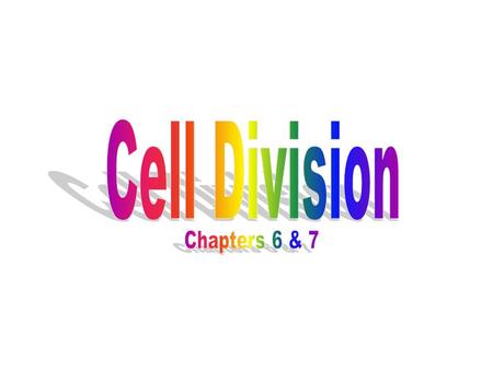 Mitotic Cell Division Involves mitosis and cytokinesis Picture A. Mitosis -Replicated chromosomes separate B. Cytokinesis -After replicated chromosomes.