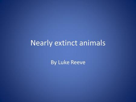 Nearly extinct animals By Luke Reeve. The red panda.