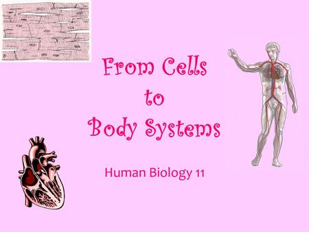 From Cells to Body Systems Human Biology 11. Understanding Cells Cells are the building blocks of life There are trillions of cells in the human body.