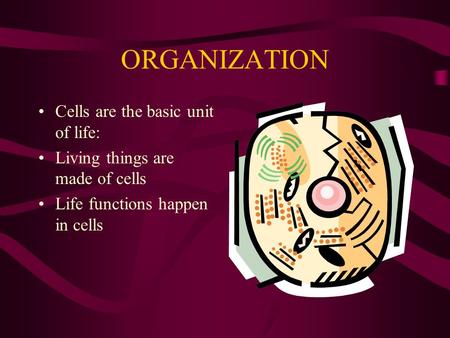 ORGANIZATION Cells are the basic unit of life: Living things are made of cells Life functions happen in cells.