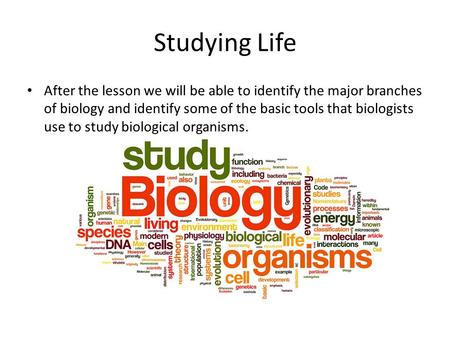 Studying Life After the lesson we will be able to identify the major branches of biology and identify some of the basic tools that biologists use to study.