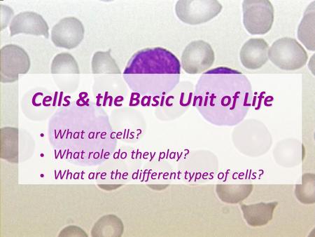 Cells & the Basic Unit of Life Cells & the Basic Unit of Life What are cells? What are cells? What role do they play? What role do they play? What are.