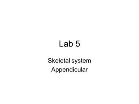 Lab 5 Skeletal system Appendicular. Objective 7: Appendicular Skeleton.