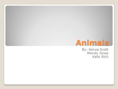 Animals By: Kenya Scott Wendy Jones Kelly Rich My favorite animal is a dog I like dogs because they are cute. I like dogs because they are friendly.