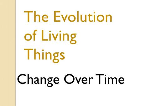 The Evolution of Living Things Change Over Time. Can you find two eyes and a mouth in this photo? The eyes and mouth belong to an adult flounder. Adult.