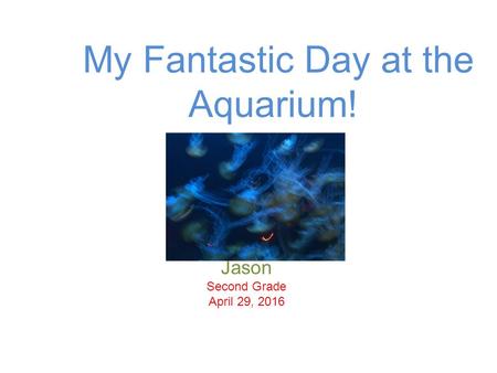 My Fantastic Day at the Aquarium! Jason Second Grade April 29, 2016.