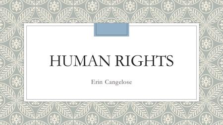 HUMAN RIGHTS Erin Cangelose. Why did I decide this issue? ◦I researched this issue because I care very passionately about it. There are millions of people.