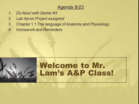 Welcome to Mr. Lam’s A&P Class! Agenda 8/23 1.Do Now! with Starter #3 2.Lab Apron Project assigned 3.Chapter 1.1 The language of Anatomy and Physiology.