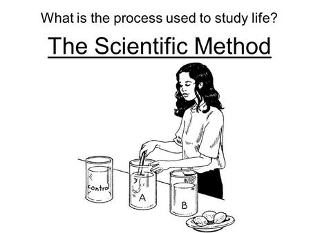 What is the process used to study life? The Scientific Method.