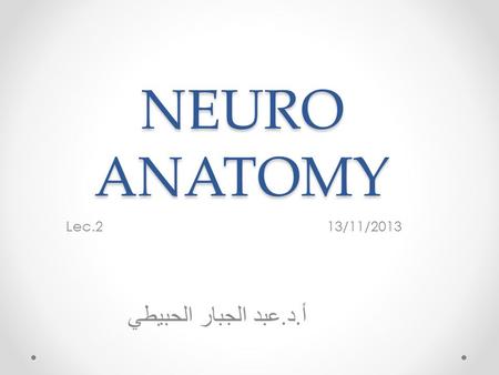 NEURO ANATOMY Lec.2 13/11/2013 أ. د. عبد الجبار الحبيطي.