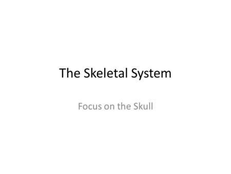 The Skeletal System Focus on the Skull. Review Anatomical Terms Anterior/Posterior Dorsal/Ventral Medial/Lateral Superior/Inferior.