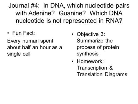 Journal #4: In DNA, which nucleotide pairs with Adenine? Guanine? Which DNA nucleotide is not represented in RNA? Fun Fact: Every human spent about half.