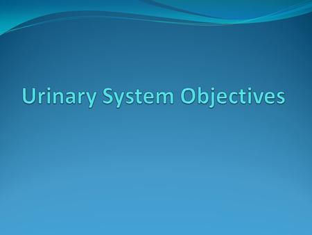 Objectives 1. Identify the components of the urinary system and describe vital functions performed by the system. 2. Describe the structures found within.