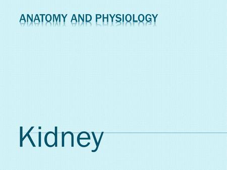 Kidney. TABLE OF CONTENT 1) General Introduction 2) Anatomy of Urinary System 3) Urine Formation 4) Control System.