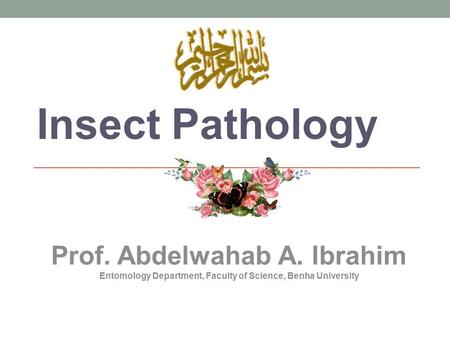 Insect Pathology Prof. Abdelwahab A. Ibrahim Entomology Department, Faculty of Science, Benha University.