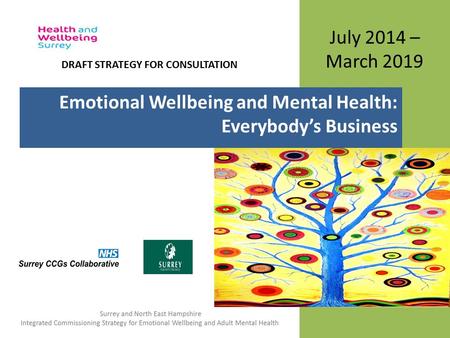 July 2014 – March 2019 Emotional Wellbeing and Mental Health: Everybody’s Business DRAFT STRATEGY FOR CONSULTATION.