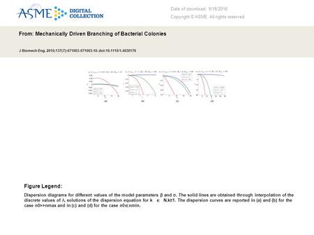 Date of download: 9/18/2016 Copyright © ASME. All rights reserved. From: Mechanically Driven Branching of Bacterial Colonies J Biomech Eng. 2015;137(7):071003-071003-10.