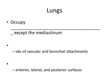 Lungs Occupy _____________________________________ _ except the mediastinum – site of vascular and bronchial attachments – anterior, lateral, and posterior.