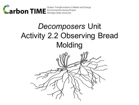 Carbon: Transformations in Matter and Energy Environmental Literacy Project Michigan State University Decomposers Unit Activity 2.2 Observing Bread Molding.