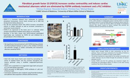 Fibroblast growth factor 23 (FGF23) increases cardiac contractility and induces cardiac mechanical alternans which are eliminated by FGFR4 antibody treatment.