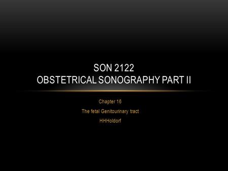 Chapter 16 The fetal Genitourinary tract HHHoldorf SON 2122 OBSTETRICAL SONOGRAPHY PART II.