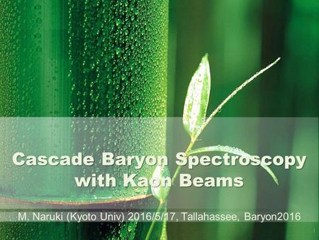 Cascade Baryon Spectroscopy with Kaon Beams M. Naruki (Kyoto Univ) 2016/5/17, Tallahassee, Baryon2016 1.