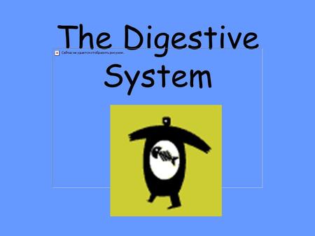 The Digestive System Raise your hand if you ate breakfast today.