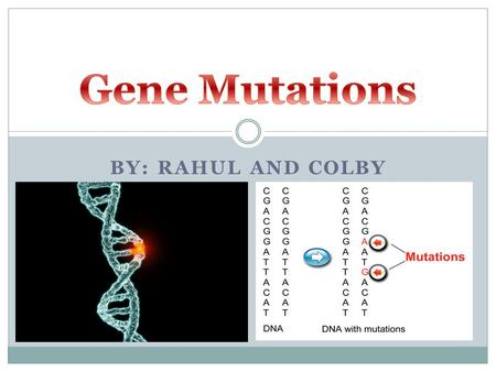 BY: RAHUL AND COLBY. Define terms: Gene, Allele, and Genome Gene: a heritable factor that controls a specific characteristic. Allele: one specific form.