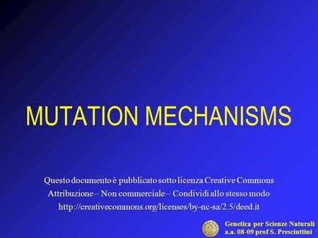 Genetica per Scienze Naturali a.a. 08-09 prof S. Presciuttini MUTATION MECHANISMS Questo documento è pubblicato sotto licenza Creative Commons Attribuzione.