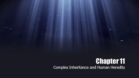 Chapter 11 Complex Inheritance and Human Heredity.