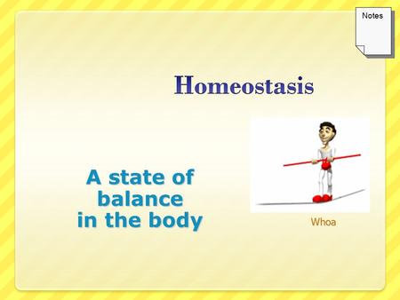 A state of balance in the body Whoa Notes. Definition of Homeostasis homeo = same; stasis = standing Homeostasis is the term we use to describe the constant.