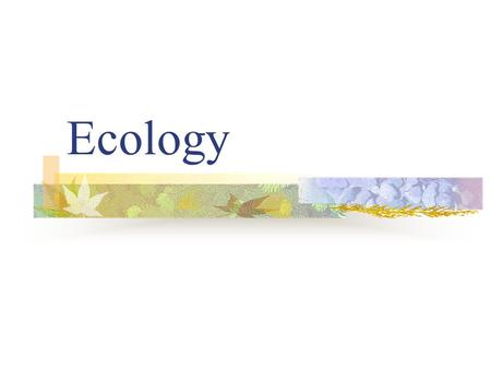 Ecology The study of … Relationships between organisms and their physical environment Interactions of living things with their environment.