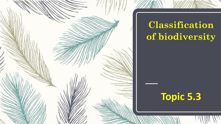 Classification of biodiversity Topic 5.3. Why are grocery stores organized like this?