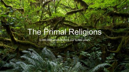 The Primal Religions 3,000,000 years before our 4,000 years.