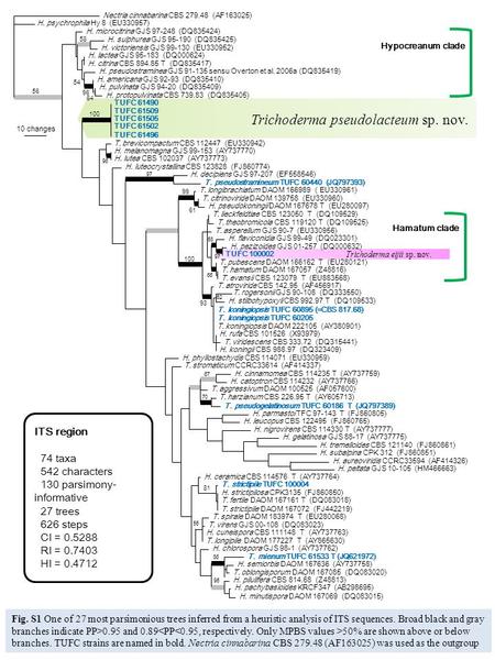 Trichoderma eijii sp. nov. Trichoderma pseudolacteum sp. nov. 10 changes Nectria cinnabarina CBS 279.48 (AF163025) H. psychrophila Hy 8 (EU330957) H. microcitrina.