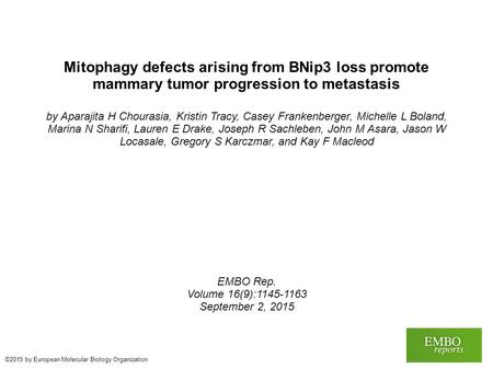 Mitophagy defects arising from BNip3 loss promote mammary tumor progression to metastasis by Aparajita H Chourasia, Kristin Tracy, Casey Frankenberger,