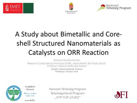 A Study about Bimetallic and Core- shell Structured Nanomaterials as Catalysts on ORR Reaction Bárbara Quaiato Gomes Research Conducted at University of.