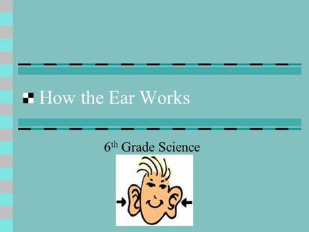 How the Ear Works 6 th Grade Science. Parts of the Ear The ear is divided into 3 main parts: Outer Ear Middle Ear Inner Ear.