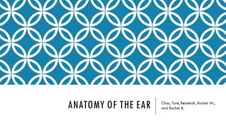 ANATOMY OF THE EAR Chas, Tate, Rebekah, Rachel W., and Rachel B.