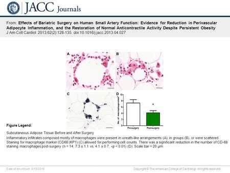 Date of download: 9/18/2016 Copyright © The American College of Cardiology. All rights reserved. From: Effects of Bariatric Surgery on Human Small Artery.