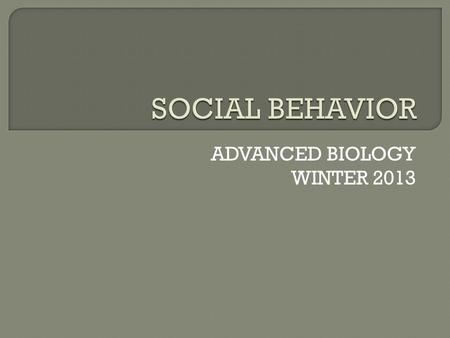 ADVANCED BIOLOGY WINTER 2013.  In your own honest opinion:  Do animals make decisions for the good of the group or for their own benefit?